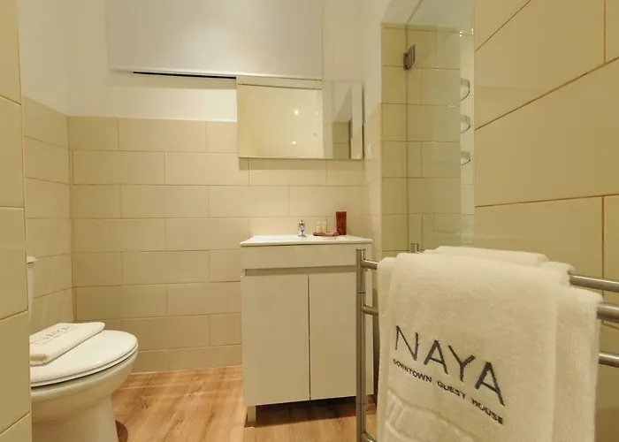 Gasthuis Naya-downtown 3*