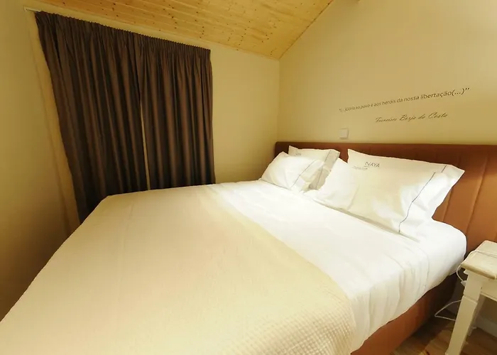 Gasthuis Naya-downtown 3*